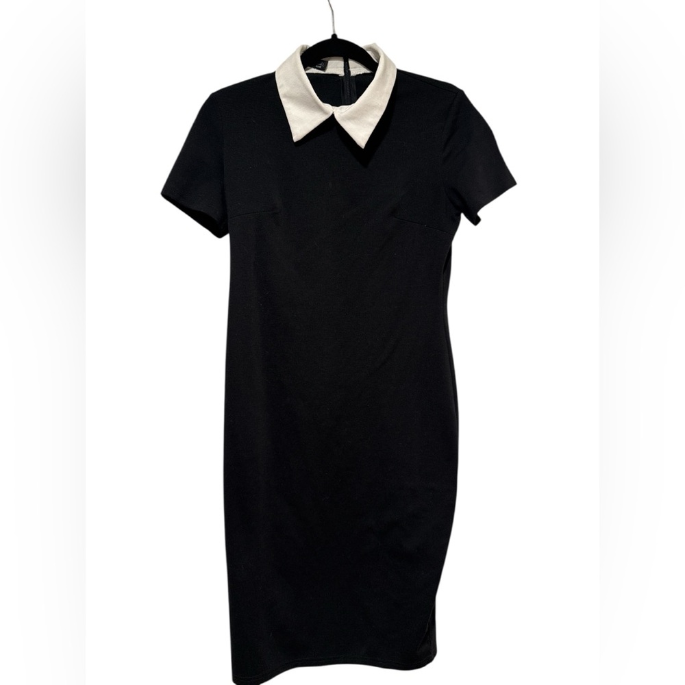 Black Midi fitted Shirt Dress with White Peter Pan Collar